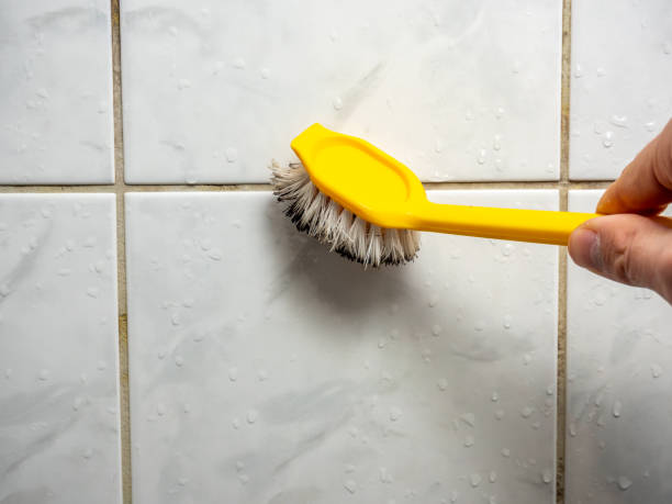 Best Black Mold Removal  in Jefferson City, TN