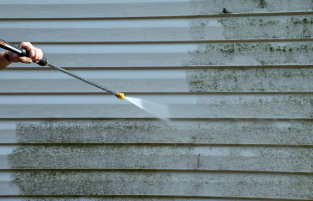 Mold Removal Process in Jefferson City, TN